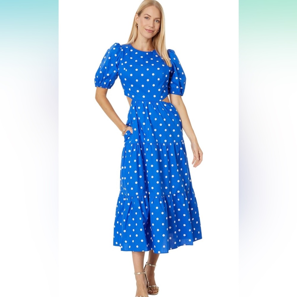 Lilly Pulitzer Lyssa Cotton Midi Dress Blue Grotto Hotter Spot NWT